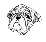 immagine cani da colorare