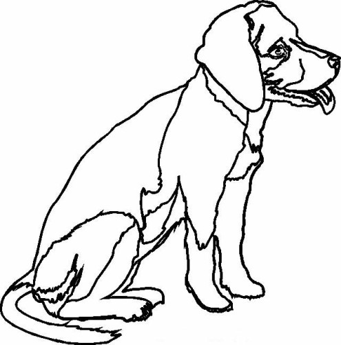 immagine cani da colorare