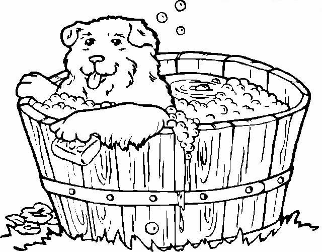 immagine cani da colorare