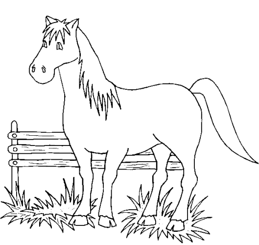 immagine cavalli da colorare