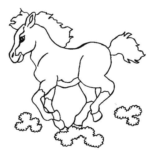 immagine cavalli da colorare