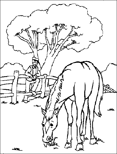 immagine cavalli da colorare