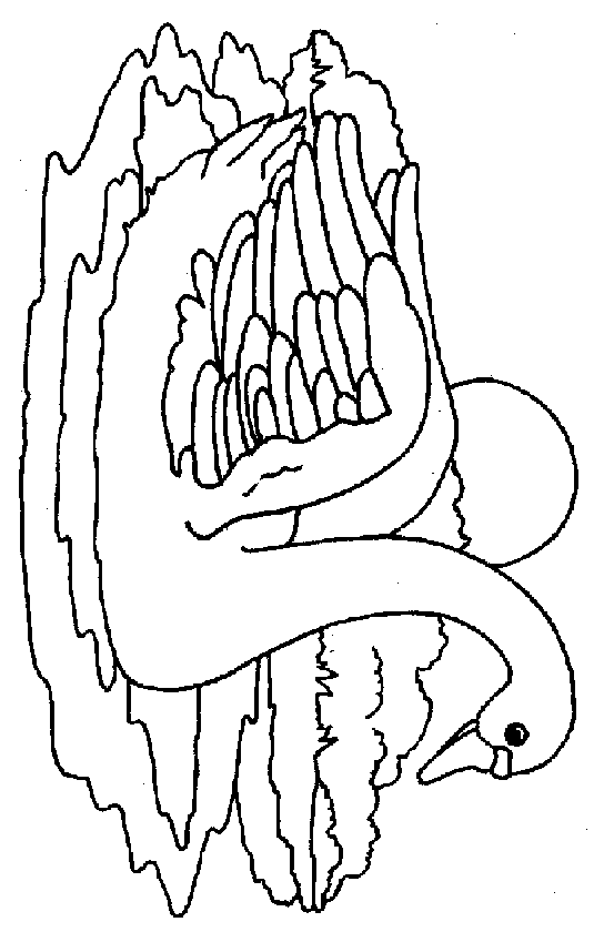 immagine cigni da colorare