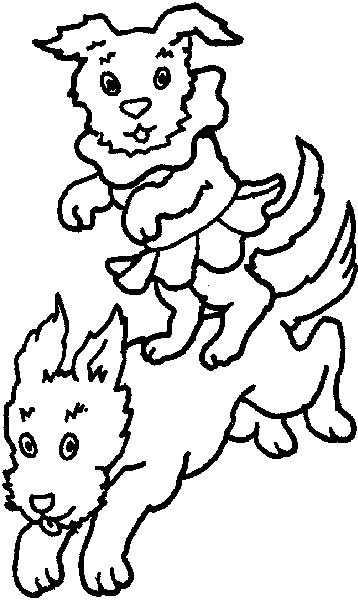 immagine circo da colorare