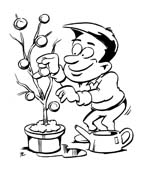 immagine copia il colore da colorare