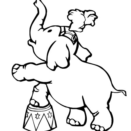 immagine copia il colore da colorare