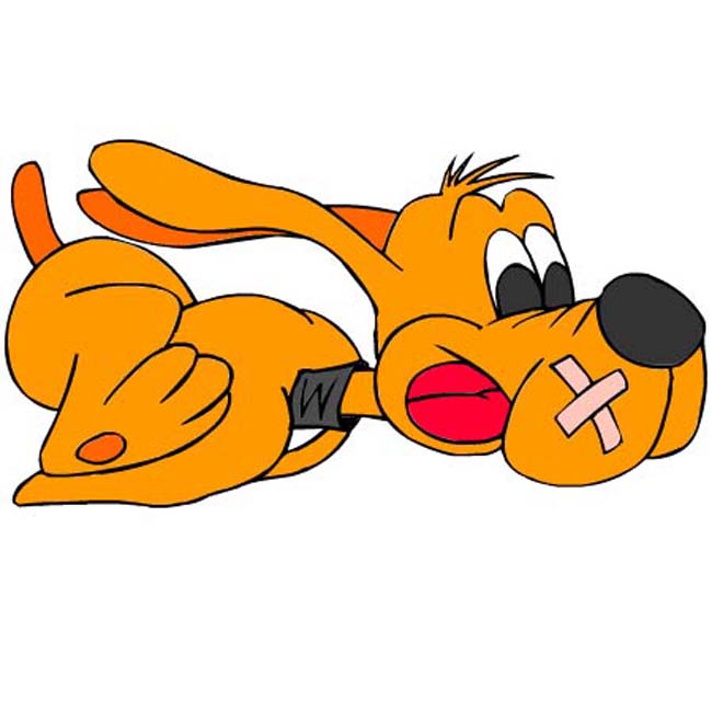 immagine copia il colore da colorare