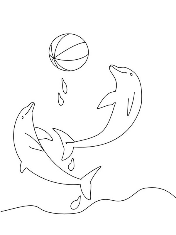immagine delfini da colorare
