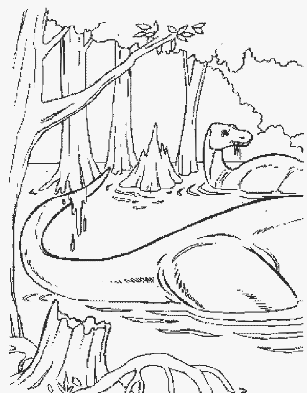 immagine dinosauri da colorare