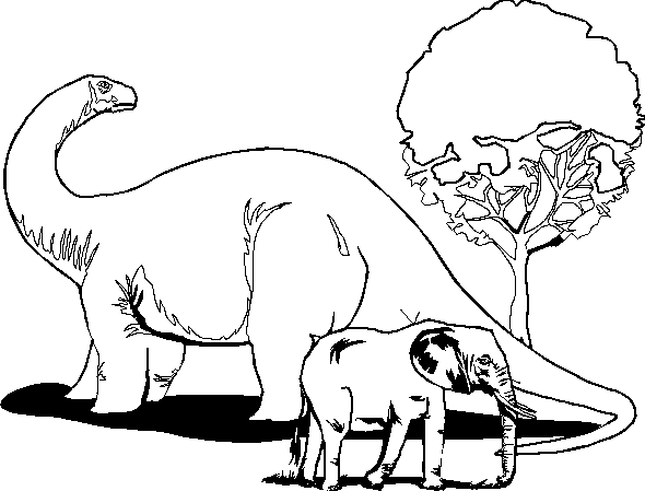 immagine dinosauri da colorare