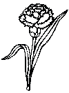 immagine fiori da colorare