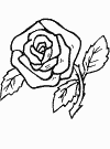 immagine fiori da colorare