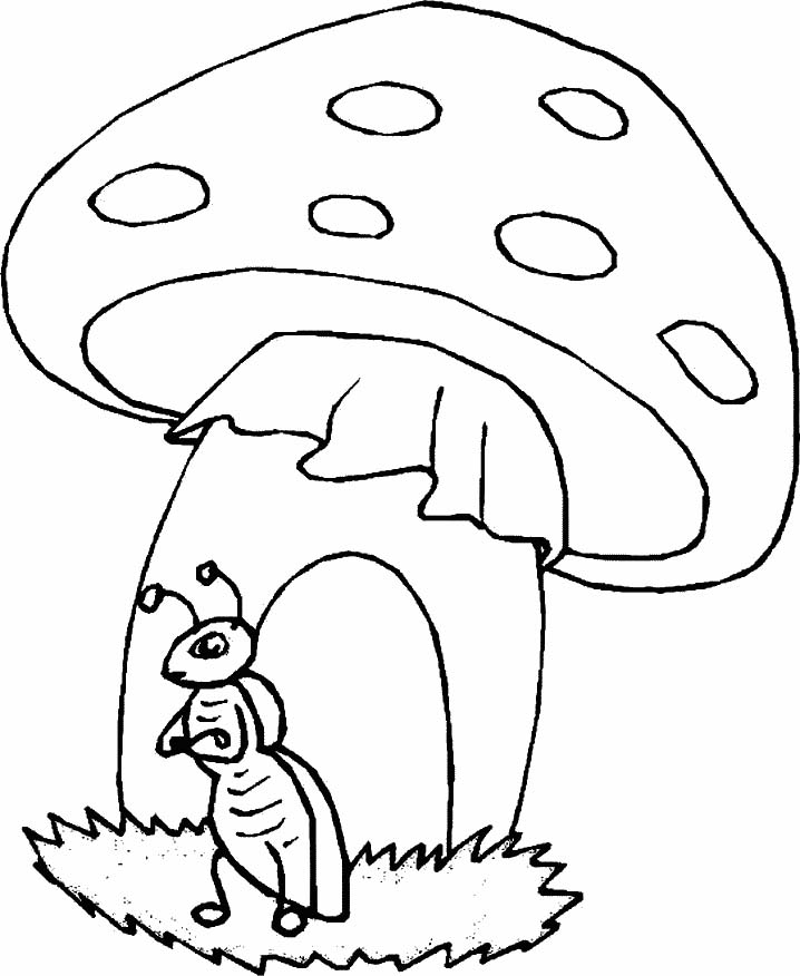immagine funghi da colorare
