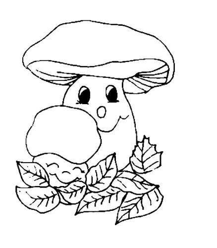 immagine funghi da colorare