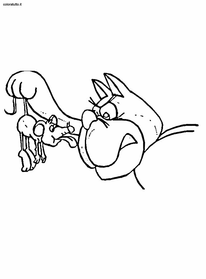 immagine gatti da colorare