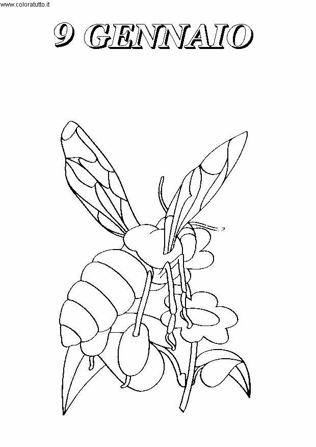 immagine giornalieri da colorare