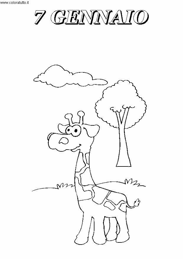 immagine giornalieri da colorare