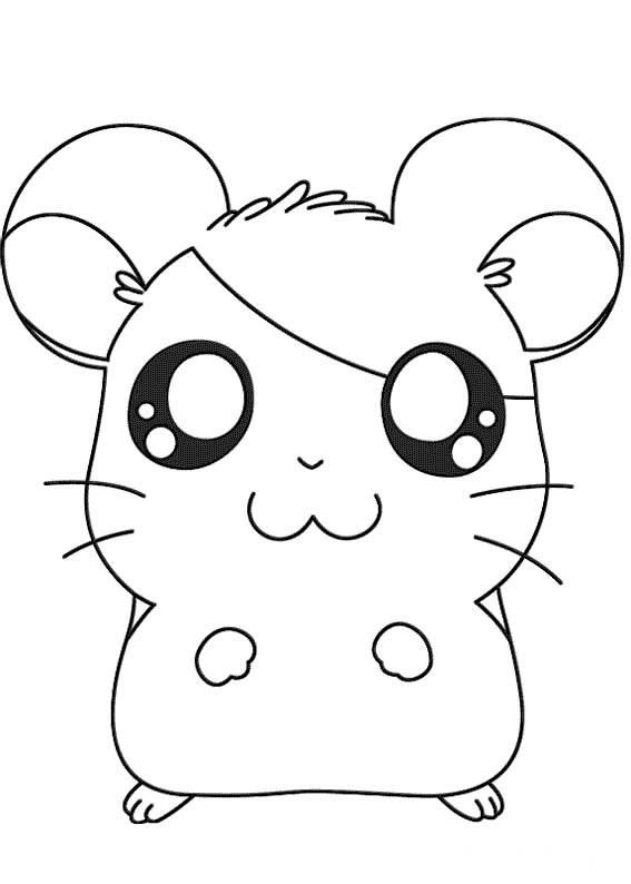 immagine hamtaro da colorare
