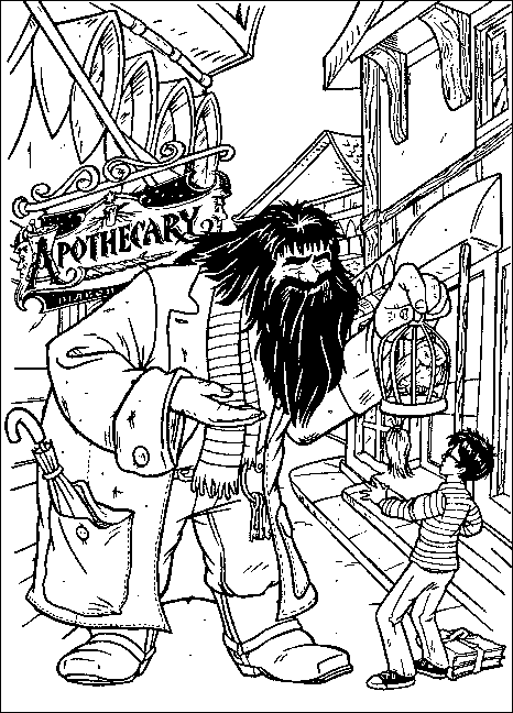 immagine harry potter da colorare