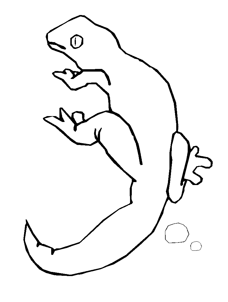 immagine iguana da colorare