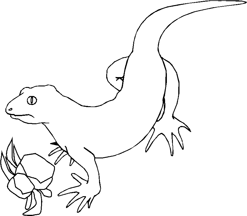 immagine iguana da colorare