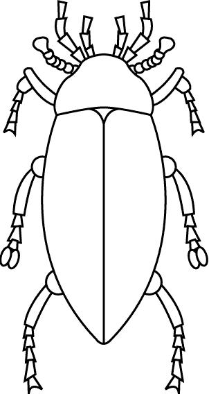 immagine insetti da colorare