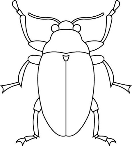 immagine insetti da colorare