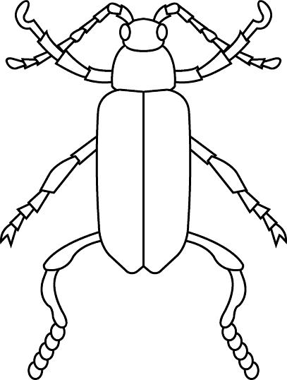 immagine insetti da colorare