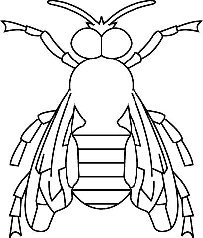 immagine insetti da colorare