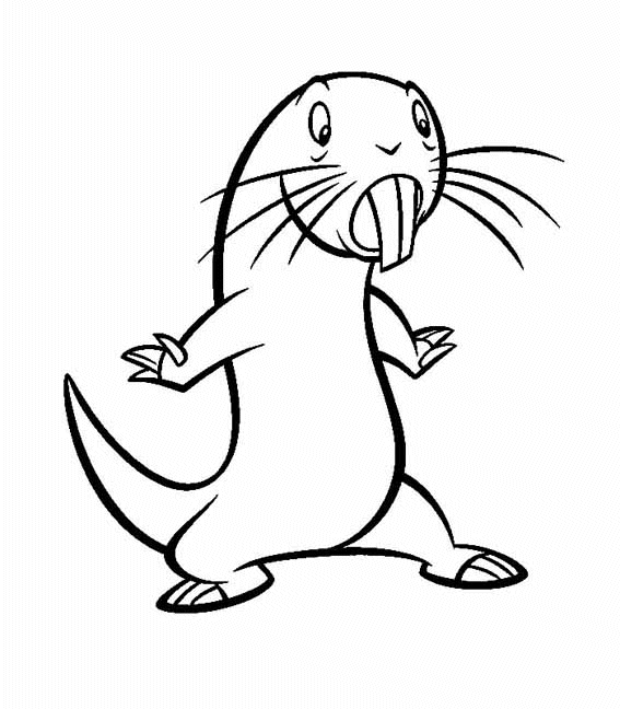 immagine kim da colorare