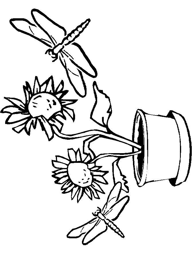 immagine libellule da colorare