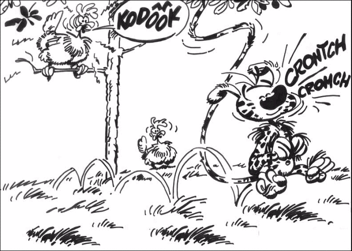 immagine marsupilami da colorare