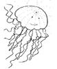 immagine meduse da colorare