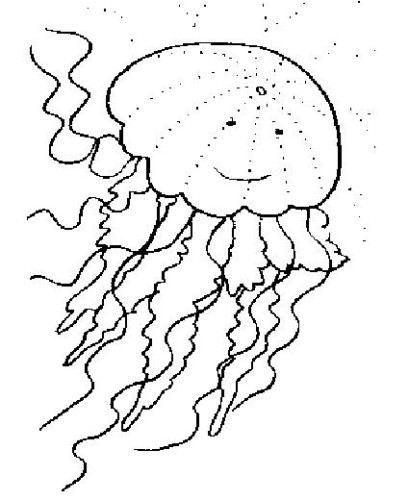 immagine meduse da colorare