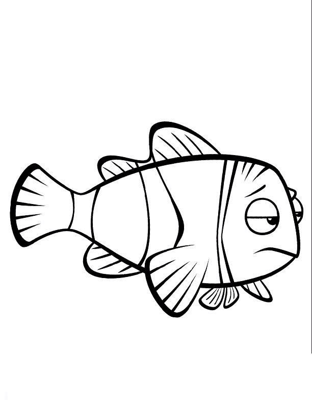 immagine nemo da colorare