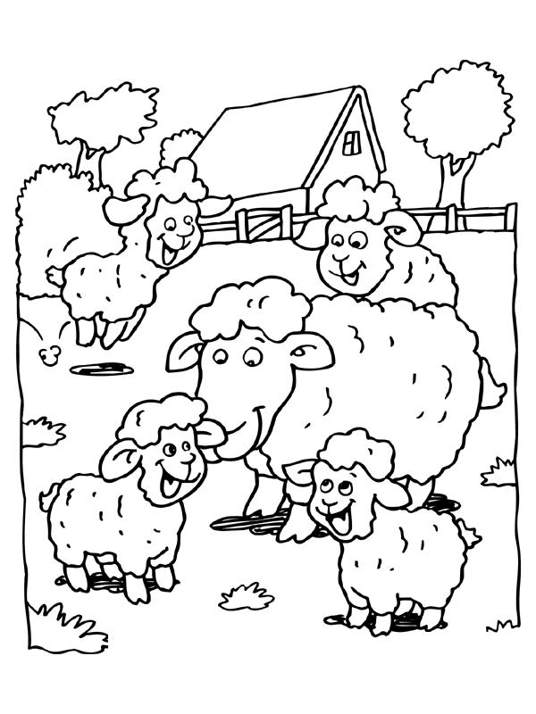 immagine pecorelle da colorare