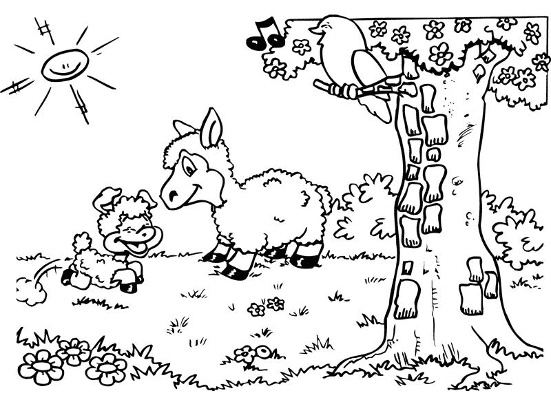 immagine pecorelle da colorare