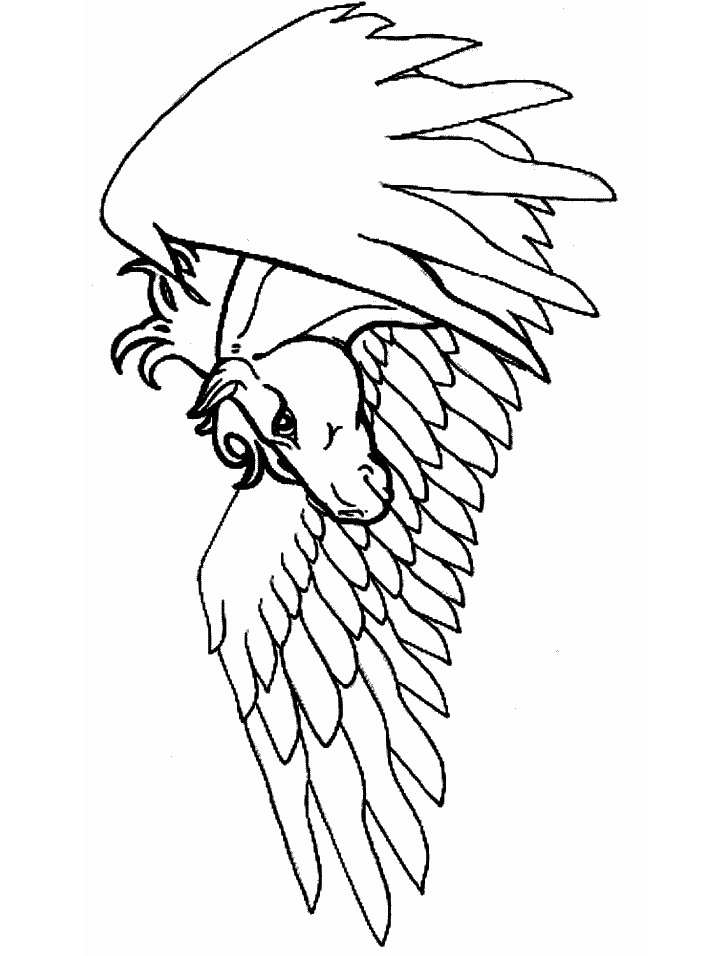 immagine pegaso da colorare
