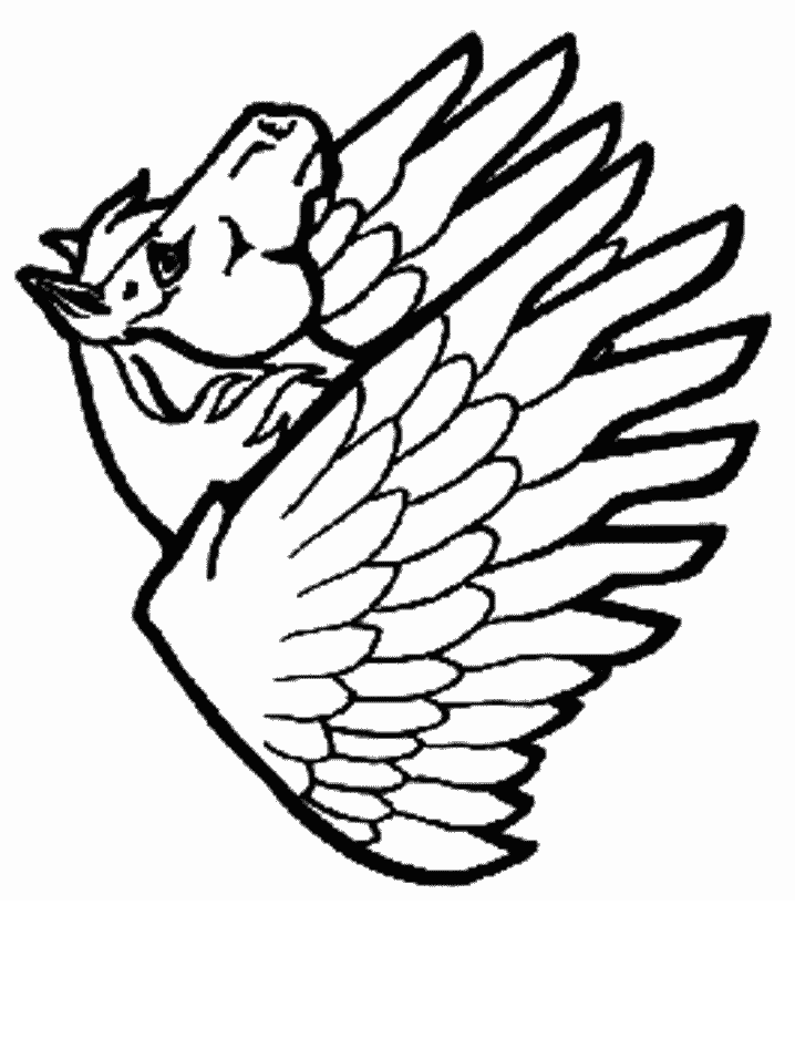 immagine pegaso da colorare