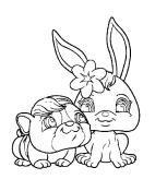 immagine petshop da colorare