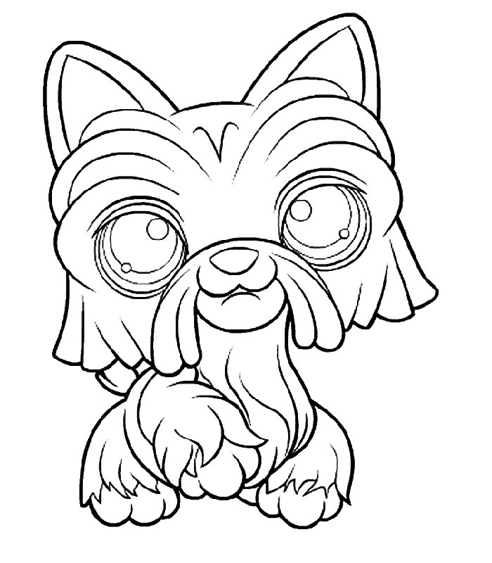 immagine petshop da colorare