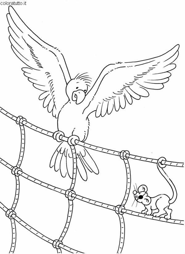 immagine pirati da colorare