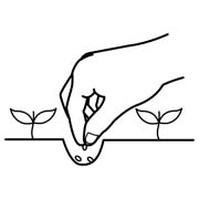 immagine pittogrammi da colorare