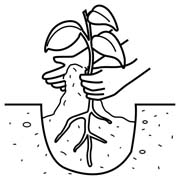 immagine pittogrammi da colorare