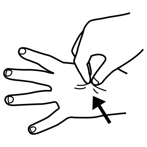 immagine pittogrammi da colorare