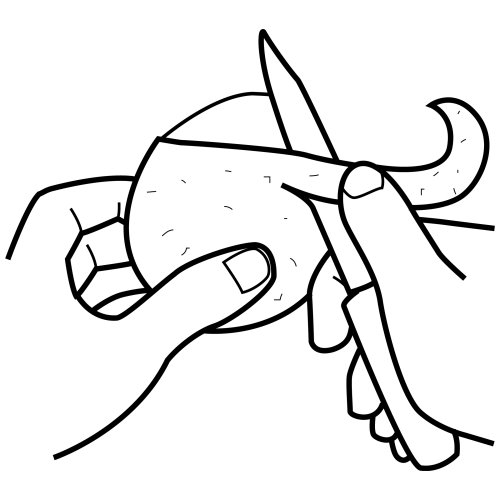 immagine pittogrammi da colorare