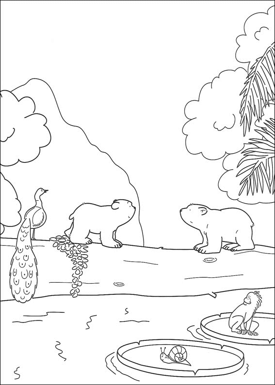 immagine plume orsopolare da colorare