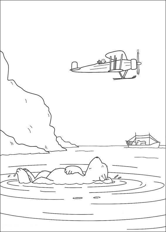 immagine plume orsopolare da colorare