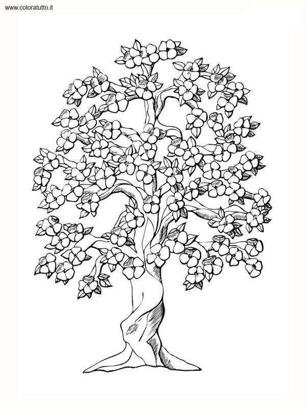 immagine primavera da colorare
