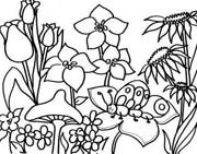 immagine primavera da colorare